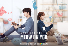 Link Nonton Drama China Accidentally Meow on You (2022) Full Episode Sub Indo, Jatuh Cinta dengan Bos Tsundere dan Penyayang Kucing