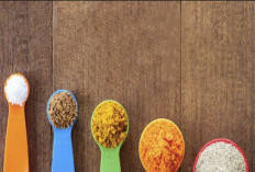 Waspada Penipuan! Loker PT Satya Anugerah Nutritama Asli Atau Palsu? Cek Fakta Lengkapnya Hanya Disini