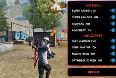 Download Regedit FF Auto Headshot Apk Latest Version 2024, No Password anti Banned Aman Sentosa!