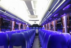 Download Denah Kursi Bus Pariwisata 60 Seats dengan Konfigurasi 2-2 dan 2-3 Format Excel Gratis