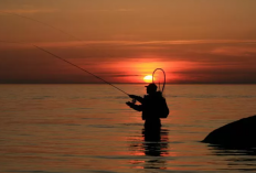 Kalender Mancing di Laut Hari Ini, 5-6 Januari 2024: Libur Dulu! Arus Mati Bikin Tak Untung