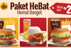 Paket Promo MCD Edisi Maret 2024, Paket HeBat (Hemat Banget) Sampai Happy Meal Sonic The Hedgehog Mulai Berlaku!