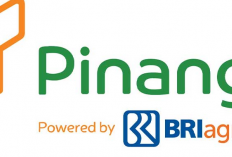 Mengenal Pinjaman Online Pinang Paylater dan Manfaatnya, Calon Costumer Lihat Sini Yuk!