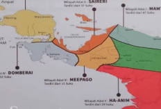 DPR Sahkan 3 Undang-Undang Pemekaran Provinsi Papua, Pemda Rencanakan Pemekaran Baru di Papua Barat