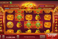 Daftar Rate Harga Bongkaran Chip Domino Januari 2024, Para Suhu Wajib Tahu Supaya Tidak Boncos!!