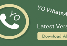 Download Unduh YoWhatsApp Apk v9.98 Terbaru [Maret 2024],  Anti Ban dan bisa Dual WA!