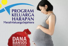 Link dan Cara Pendaftaran Bansos Ibu Hamil Tahun 2024, Total Bantuan Rp 3 Juta Siapapun Bisa Daftar Langsung!