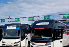 Harga Tiket Bus Primajasa dari TASIKMALAYA ke CILILITAN Terbaru 2023, Tersedia Jadwal Pagi Hingga Sore