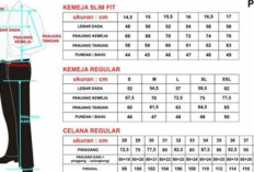 Cara Membedakan Pakaian Ukuran XL dan Ukuran Lainnya Sesuai Standar Amerika dan Indonesia, Mudah Banget!