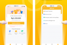 Resiko Gagal Bayar Modal Nasional, Waspada! Bisa Masuk Daftar Hitam OJK