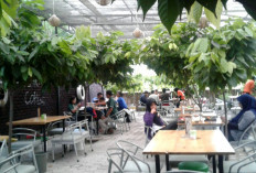 Lokasi Lengkap Cafe And Resto Kebun Coklat Sidoarjo, Rekomendasi Tempat Makan dengan Menu Favorit