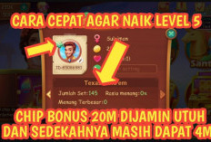 Trik Hack Naik Level Higgs Domino dengan Cepat, Bisa Langsung Naik Hingga Level 6