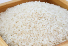 Daftar Harga Beras Terbaru Hari Ini 22 Februari 2024 di Seluruh Indonesia Naik Hingga Rp16.090 Per Kg  