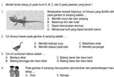 15 Contoh Soal IPA Kelas 6  SD/MI Semester 2 Tahun 2023 Pilihan Ganda dan Essay Lengkap Dengan Kunci Jawabannya 