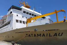 Jadwal Kapal Laut Tatamailau Maret 2023, Dilengkapi dengan Rute Pelayarannya