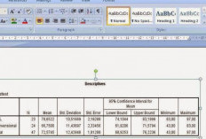 Cara Menyimpan Data SPSS ke Word, Mudah dan Cepat Dengan Cara Ini