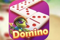 Langsung Berhasil dalam Hitungan Detik, Cara Top Up Higgs Domino 3000 30M Paling Mudah Untuk Slotters Mania