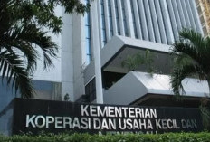 Lowongan Kerja Tenaga Pendamping Kemenkop UKM Deadline Sampai 9 Juni 2024 Cek Kualifikasi dan Cara Daftarnya di Sini 