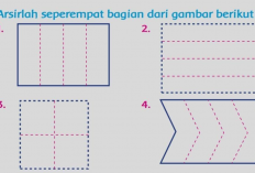 Materi Bilangan Pecahan Kelas 2 SD/MI Beserta Contoh Soal dan Jawaban!