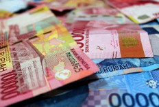 Ada Pilihan Pinjaman KUR BRI Untuk Kamu yang Belum Menikah!