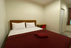Daftar Penginapan Murah Daerah Parung Bogor, Bisa Kunjungan Kapanpun Tanpa Reservasi!