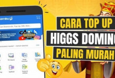 Beli Chip Higgs Domino Murah Dimana? Inilah Daftar Jual Chip Beserta Harga Terbaru April 2024!