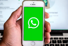 [Free] MBWhatsApp iOS v9.93 MOD APK Terbaru 2024 Unlocked Premium, Bisa Login 2 Akun Untuk Pribadi dan Bisnis