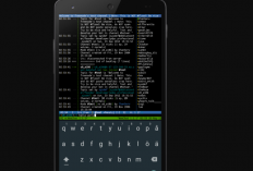 Download Termux MOD APK Versi Terbaru 2024, Bisa Langsung Install Tanpa Perlu Root HP Terlebih Dulu!