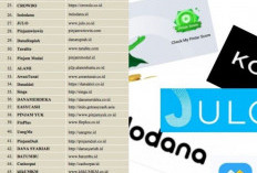 Butuh Dana Banyak? Daftar Pinjol Gunakan DC Lapangan Tapi Berikan Limit Tinggi Hingga Ratusan Juta