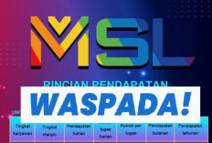 Apakah APK MSL Penghasil Uang Penipuan? Waspada! Jika Mengarah ke Skema Ponzi Pasti Bikin Buntung