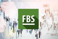 Cara Trading di FBS Pakai Android yang Baik dan Benar, Ez Banget! Buat Amatiran Juga Bisa Coba