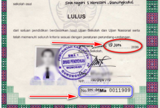 Cara Melihat Nomor Ijazah Sekolah Secara Online dan Langsung, Mudah dan Pasti Ketemu!