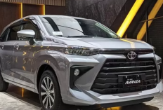 Tarif Rental Mobil di Sentani Terbaru 2023, Miliki Armada Terbaik dan Cocok Untuk Wisata