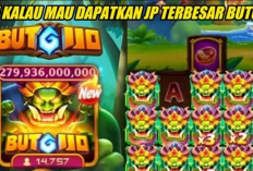 Download Higgs Domino Ini Naky V2.02 Terbaru 2023, Full Settingan Jackpot Auto Menang Terus!