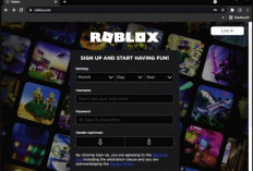 Akun Roblox Sultan Gratis Nama dan Password Terbaru 2024, Masih Aktif! Sudah Dilengkapi dengan Robux