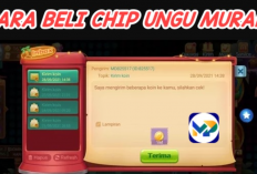 Cara Beli Chip Ungu Higgs Domino Paling Murah Dengan Pulsa, Termudah! Dijamin Langsung Work