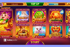 Download Higgs Domino Global 2.25 Mod APK 2024 yang Ada Tombol Kirim, Unlimited Chip Hingga Mudah Jackpot!