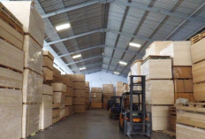 Kenali Jenis-Jenis Triplek Beserta Fungsinya, Dapat Digunakan Untuk Bahan Konstruksi Hingga Mebel
