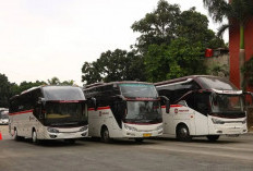 Daftar Agen Bus Purwokerto yang Paling Recommended, Pesan Tiket Langsung WA Aja 