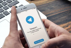 Link Grup Telegram Malaysia Terbaru 2023, Masih Aktif! Cocok Banget Jadi Teman Online Anti Kegabutan