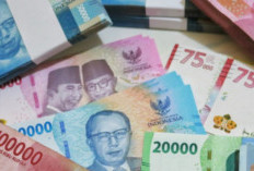 Apakah WPP Penghasil Uang Terbukti Membayar Atau Penipuan? Begini Faktanya Dan Cara Biar Bisa Mencairkan Saldo Ke Rekening 