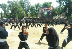 Inilah Tingkatan Sabuk Tertinggi PSHT, Susah Banget Didapatkan Butuh Latihan Bertahun-Tahun 