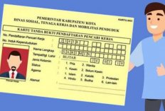 Syarat dan Cara Perpanjangan Kartu Kuning Disnaker Terbaru 2023, Gratis Bisa Ikuti Prosedur Berikut!