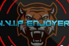 Download VVIP Enjoyers ML Skin 2024 Terbaru Lengkap dan Gratis Sedia Semua Skin Yang Bikin Kepengin