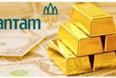 Harga Emas Perhiasan Hari Ini 1 Februari 2023, Antam 0,5 Gram Dibanderol 500 Ribu!