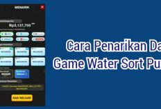 Cara Mengasilkan Uang di Water Sort Puzzle Terbaru 2024, Beserta Cara Withdraw Langsung ke DANA!