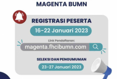 Magang Magenta BUMN 2023 Sudah Dibuka, Akan Ada 4 Program Untuk Pelajar Hingga Fresh Graduate