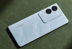 Rekomendasi HP Vivo Harga 1 Jutaan RAM 4GB Paling Populer April 2024, Dilengkapi Detail Spesifikasinya