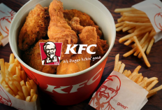 Harga KFC Gajah Mada, Pontianak Terbaru 2023, Tersedia Berbagai Varian Menu Ayam Populer dan Kekinian