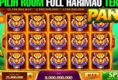 Teknik Pola Room Panda Paling Gacor Higgs Domino Terbaru! Jangan Ketinggalan, Peluang Menang Besar